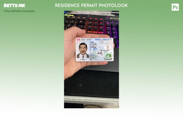 модерен стил Канада Картичка за постојан жител (+ изглед на фотографија од PSD ш